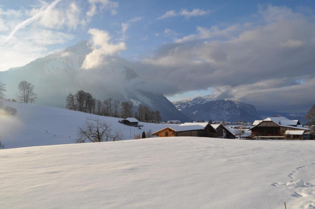 Ruhe Pur Apartment Aeschi Bei Spiez Екстериор снимка